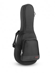 Access Mandolin Gig Bag