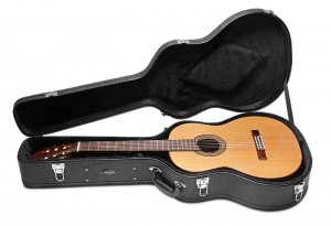 Access Small Body Acoustic Hardshell Case
