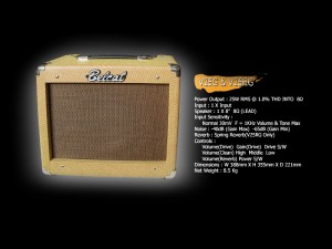 Belcat V25G/V25RG Amplifier